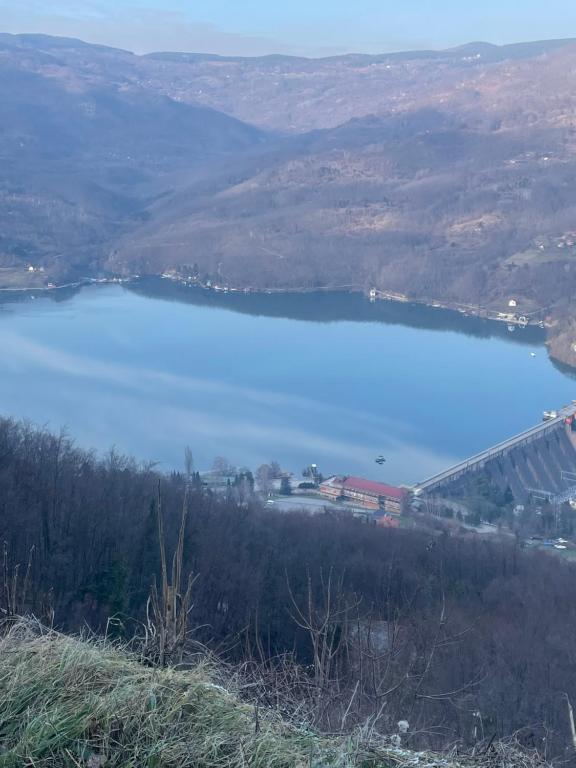 Zaovsko jezero okruženo borovim šumama